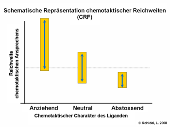 Schematische Repräsentation chemotaktischer Reichweiten (CRF)