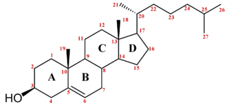 Steroidi ciclopentanoperidrofenantrene