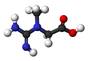 Ball and stick model of the creatine molecule.