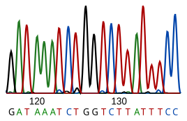 Electropherogram printout from automated sequencer for determining part of a DNA sequence DNA sequence.svg