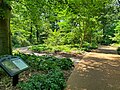 English Woodland Garden at the Missouri Botanical Garden.jpg