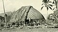 Construction of fale 1902