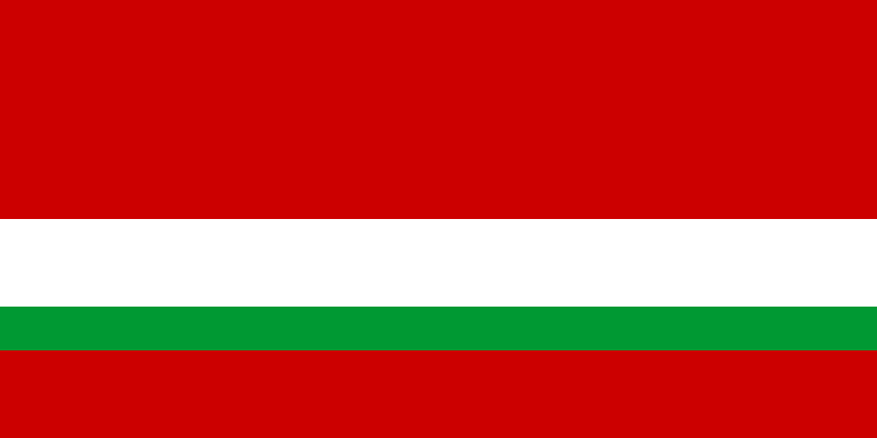 File:Flag of the Tajik Soviet Socialist Republic (reverse).svg
