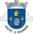 Vlag van São Salvador de Souto