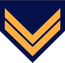 Знак отличия сержанта ВВС Греции, профессионального гоплита.