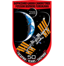 Description de l'image ISS Expedition 28 Patch.png.