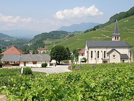 A general view of Jongieux