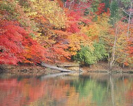 Lake Wylie in de herfst