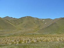 Tussock grasses on mountain slopes Lindis Pass, New Zealand (3).JPG