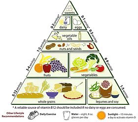 Loma Linda University Vegetarian Food Pyramid Loma Linda University Vegetarian Food Pyramid.jpg