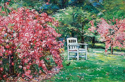 Garden with Chair