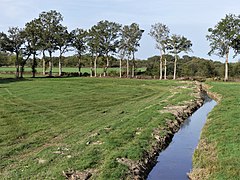 Paysage caractéristique du bassin.