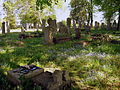 Mennonite graveyard