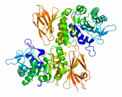 α-N-Acetylgalactosaminidase