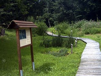 Nature trail in Barenfels, Saxon Switzerland, Germany Nature Path baerenfels.JPG