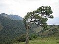 Ngong Hills, Kenya.