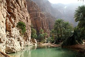 Wadi Shab