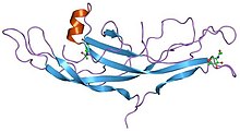 PDB 1hcn EBI.jpg