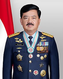 Panglima TNI Hadi Tjahjanto.jpg