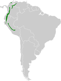 Distribución geográfica del mosquerito capirotado.