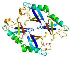 Белок NEDD8 PDB 1ndd.png