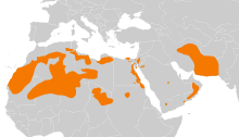 Pterocles coronatus repartition.svg