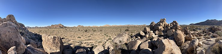 Quail Springs Picnic Area at Joshua Tree National Park in 2022