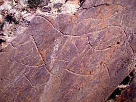 Prehistorische rotskunst in de Coa Vallei en de Siega Verde