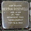 Stolperstein für Bertha Rosenfeld geb. Hahn