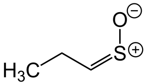 Syn-Propanethial S-oxide Structural Formula V1.svg