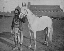 A black-and-white photograph of a man holding an unsaddled light gray horse