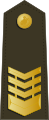 中华民国海军陆战队上士肩章
