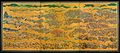 Image 10 Siege of Osaka Painting credit: unknown The siege of Osaka was a series of battles undertaken by the Japanese Tokugawa shogunate against the Toyotomi clan, and ending in the clan's dissolution. Divided into two stages (the winter campaign and the summer campaign), and lasting from 1614 to 1615, the siege put an end to the last major armed opposition to the shogunate's establishment. This eight-metre-long (26 ft) painting, titled The Summer Battle of Osaka Castle and executed on a Japanese folding screen, illustrates Osaka Castle under siege, and was commissioned by the daimyo Kuroda Nagamasa, who took a team of painters with him to the battlefield to record the event. The painting depicts 5071 people and 21 generals, and is held in the collection of Osaka Castle. More selected pictures