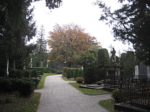 Na Varaždinskom groblju zasađeno je preko deset tisuća tuja oblikovanih u geometrijska tijela, mnoštvo breza, javora, jasena, a u podnožju visokih stabala kuglasto oblikovani šimširi te razgranate magnolije