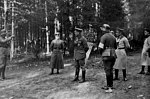 Pienoiskuva sivulle Saksan interventio Suomen sisällissodassa