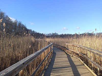 WLE: A bridge on the Ravalen lake in Sollentuna.