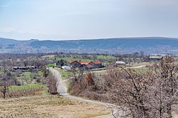 Part of the village