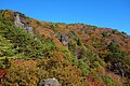 2021年5月23日 (日) 14:08時点における版のサムネイル