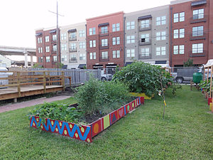 At Wise Words Community Garden in Mid-City, Ne...