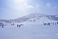 2023年3月10日 (金) 22:53時点における版のサムネイル