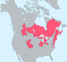 The geographic location of Algonquian-speaking people in North America prior to European settlements Algonquian langs.png