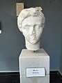 An ancient Roman bust of Livia.