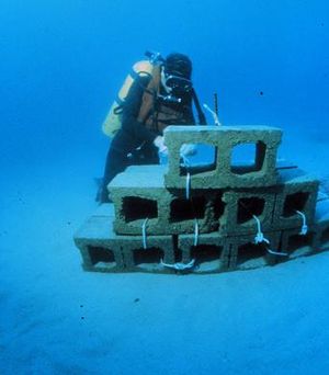 Constructing an artificial reef using concrete...