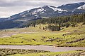 Lamar Valley