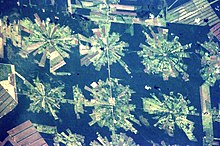 Satellite photograph of industrial deforestation in the Tierras Bajas project in eastern Bolivia, using skyline logging and replacement of forests by agriculture Bolivia-Deforestation-EO.JPG