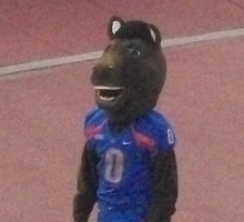 Buster Bronco Boise State.png