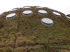 CAS Living Roof - Sarah Stierch 1.jpg