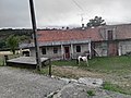 Cabalos salvaxes dentro da Casa da Tía Sara.