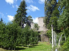 Reste der Burgmauern und Gebäuderuinen an der Südseite