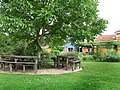 La mairie a offert un arbre de plus de 20 ans à chaque jardin de cœur d'îlot (ici un noyer)